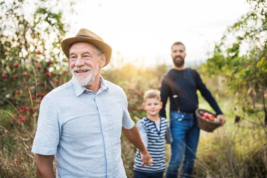 Picture of grandfather picking apples with son and grandson