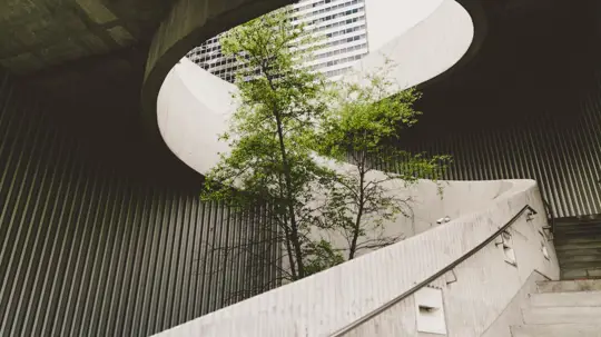ESG