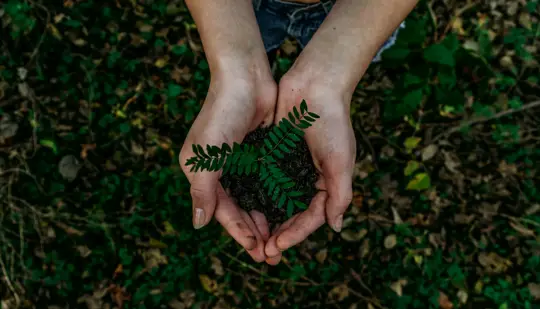Making connections to find solutions for combating climate change