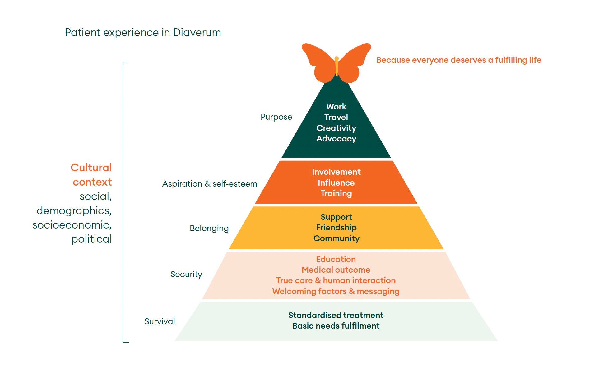 Diaverum Patient Experience Framework.jpg